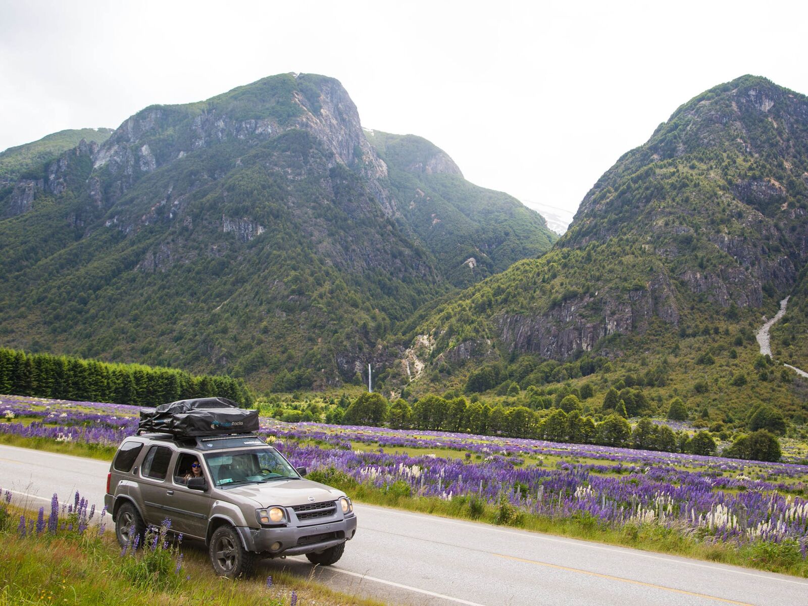 Motorhome / Camper